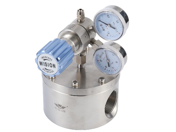 RW200精密草莓短视频黄版