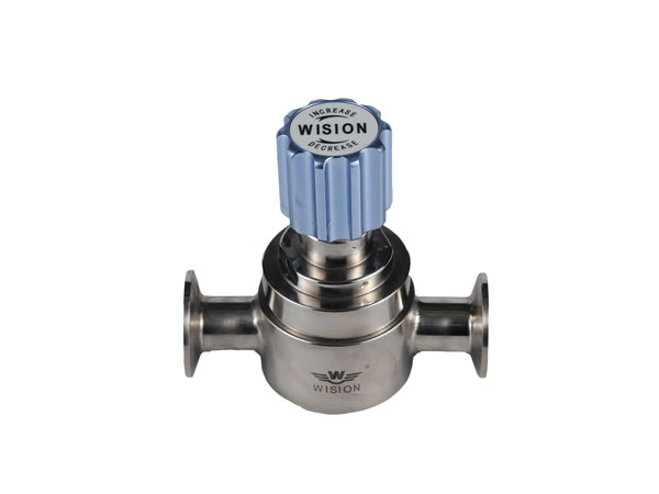 SR120卫生级草莓视频色版本